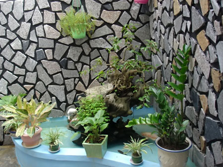Nhà phố được thông gió tự nhiên